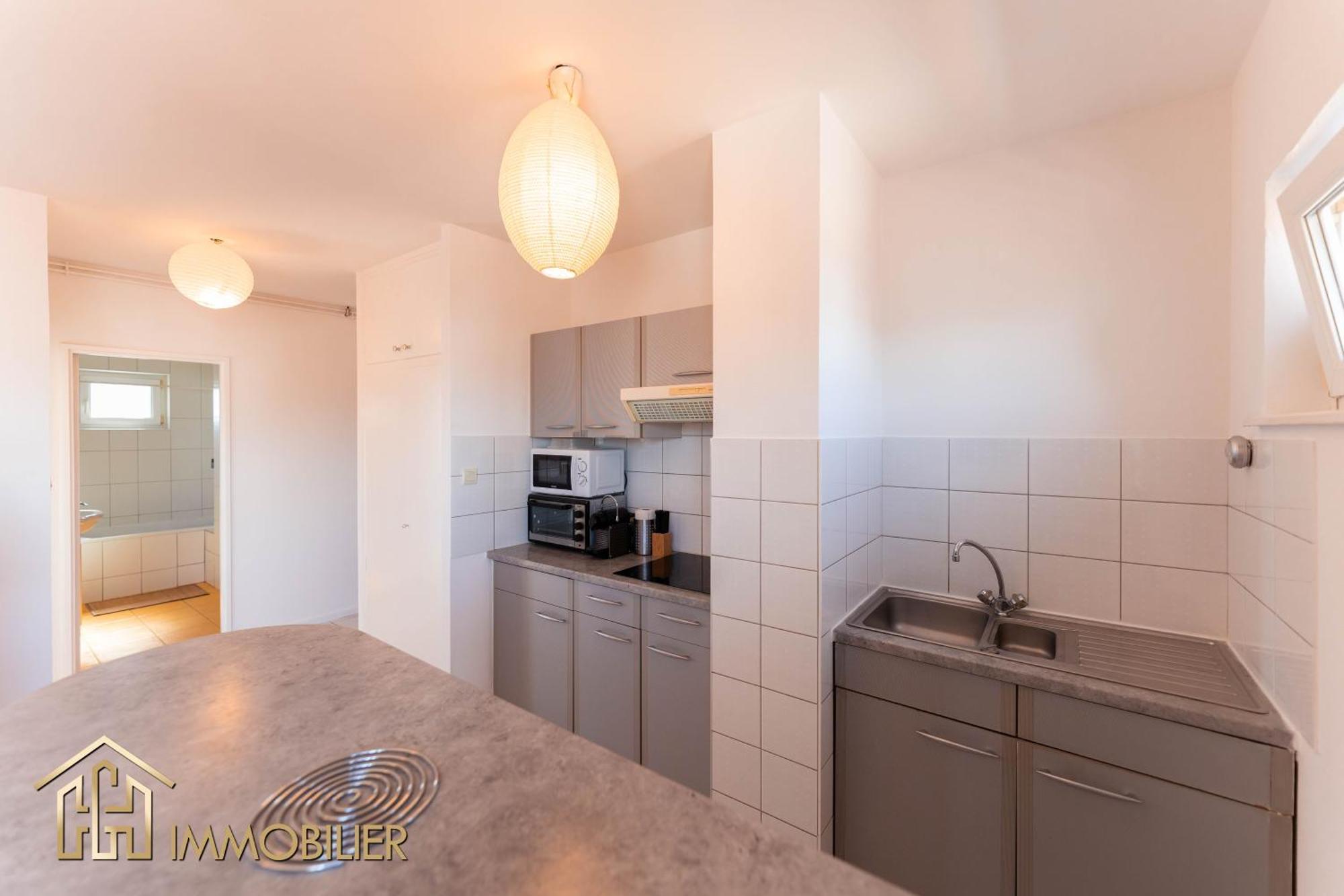 Appartement L'Orient - Parking Colmar Esterno foto